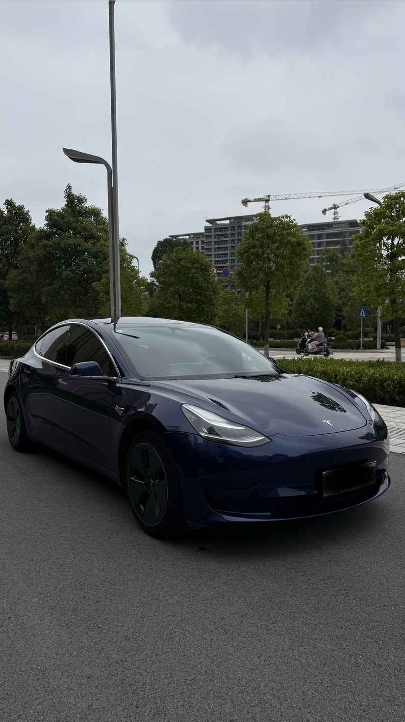Tesla Model 3 2020 #3 Tesla Model 3 2020 car image #3
