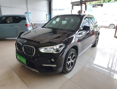 BMW X1 2019 BMW X1 2019 car image