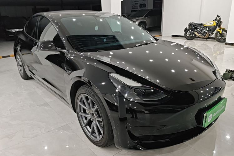 Tesla Model 3 2021 car image #4