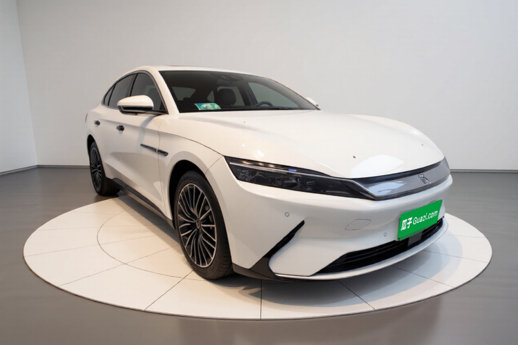 BYD Han 2021 #4 BYD Han 2021 imagen de coche #4