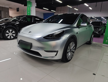 Tesla Model Y 2022 car image 