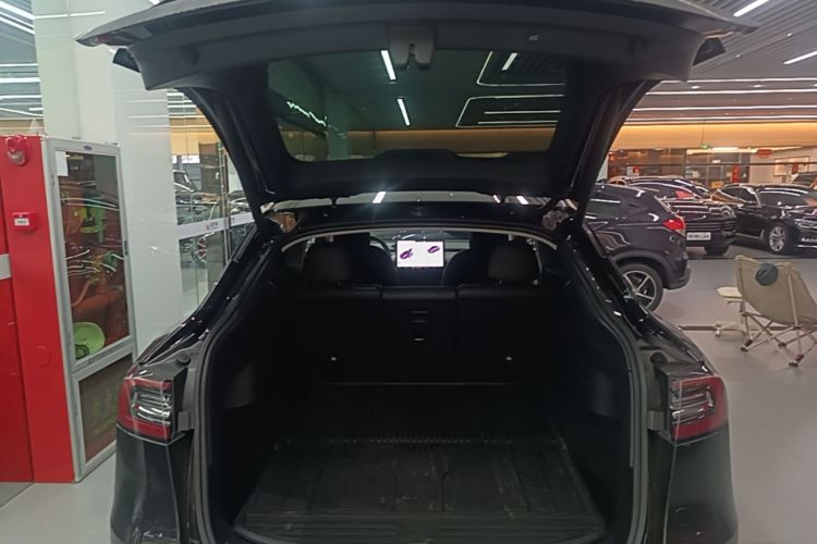 Tesla Model Y 2021 car image #19