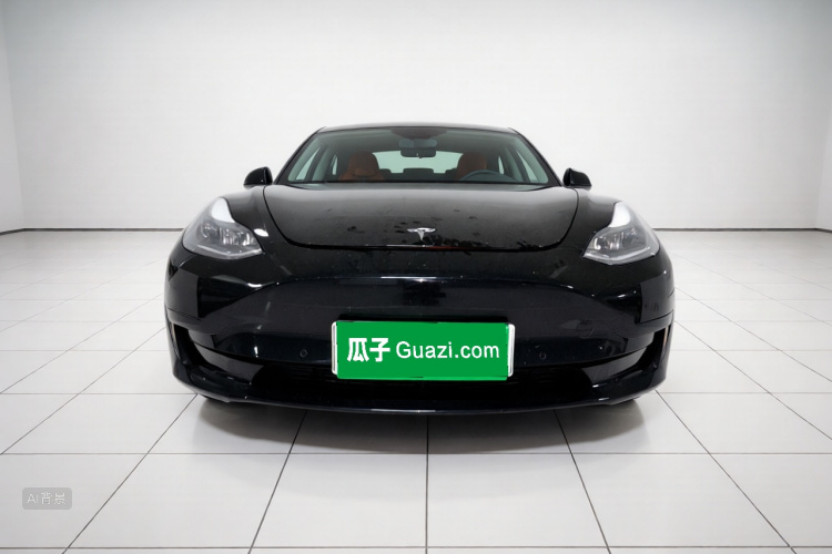 Tesla Model 3 2021 #3 Tesla Model 3 2021 car image #3