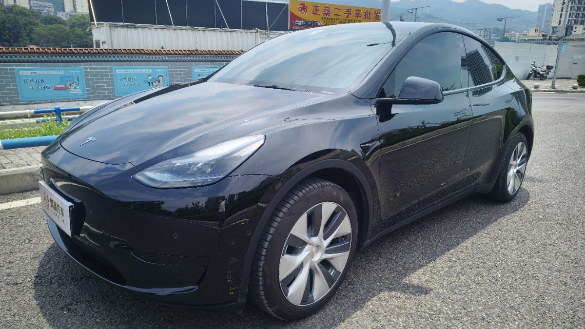 Tesla Model Y 2023 Tesla Model Y 2023 car image