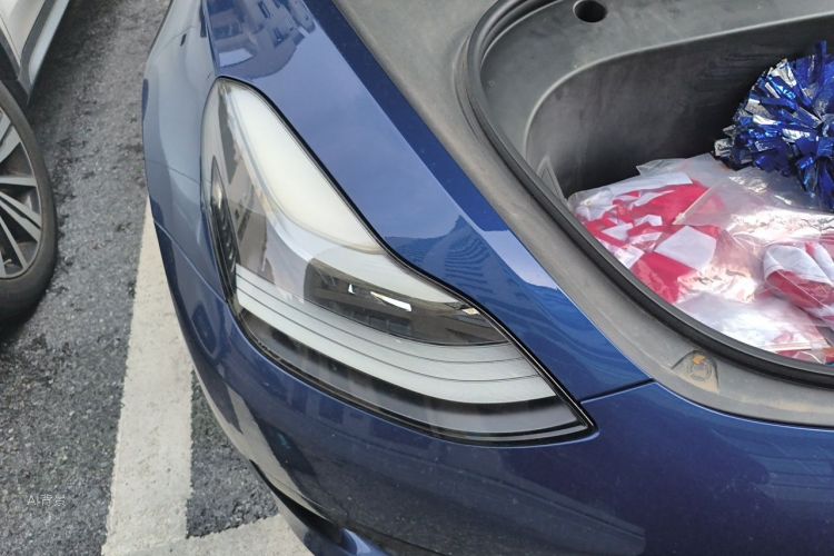 Tesla Model 3 2021 car image #8