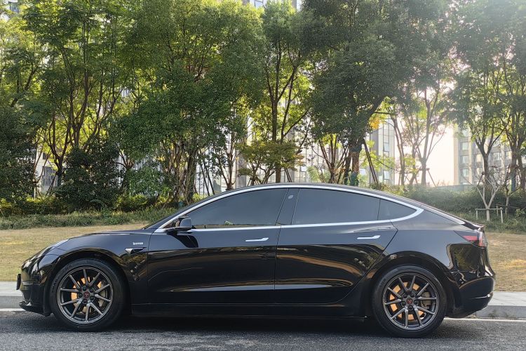 Tesla Model 3 2020 #4 Tesla Model 3 2020 صورة سيارة #4