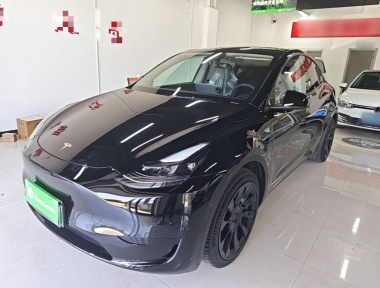 Tesla Model Y 2022 car image 