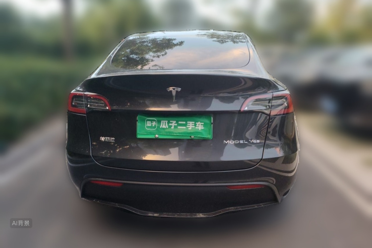 Tesla Model Y 2024 car image #6
