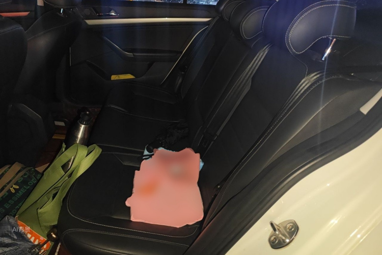 Volkswagen Lavida 2017 car image #19