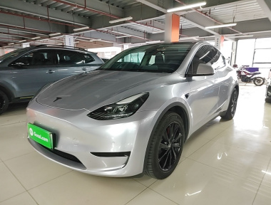 Tesla Model Y 2022 car image 