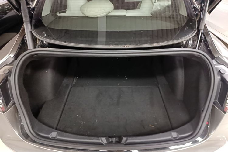 Tesla Model 3 2021 #21 Tesla Model 3 2021 car image #21