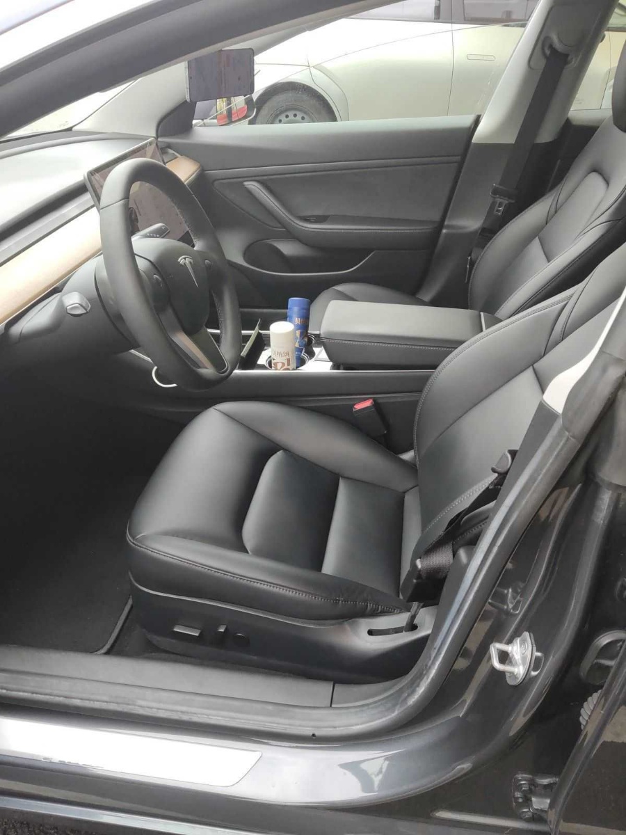 Tesla Model 3 2020 car image #3