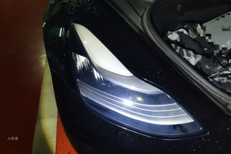Tesla Model 3 2020 car image #8