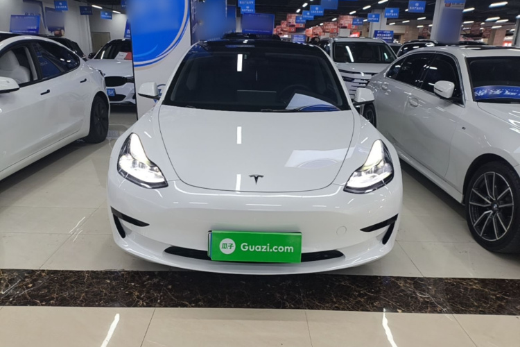 Tesla Model 3 2023 #3 Tesla Model 3 2023 car image #3