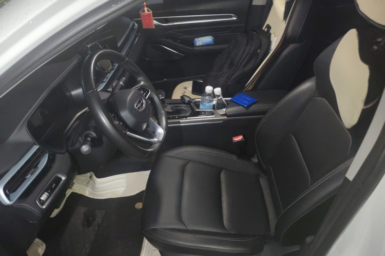 GEELY Emgrand 2022 immagine di auto #16