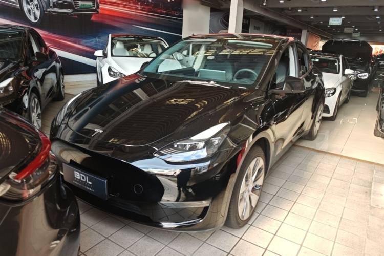 Tesla Model Y 2021 #2 Tesla Model Y 2021 car image #2