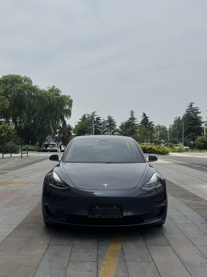 Tesla Model 3 2020 car image #2