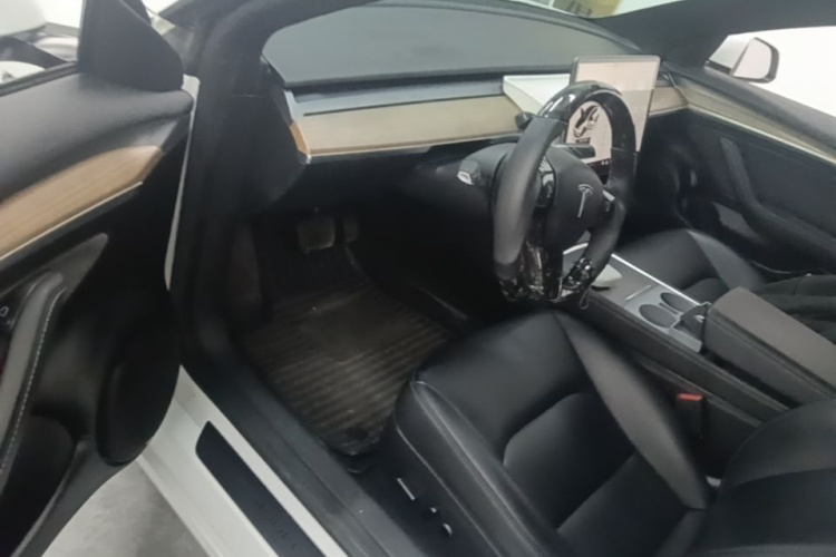 Tesla Model 3 2022 immagine di auto #16