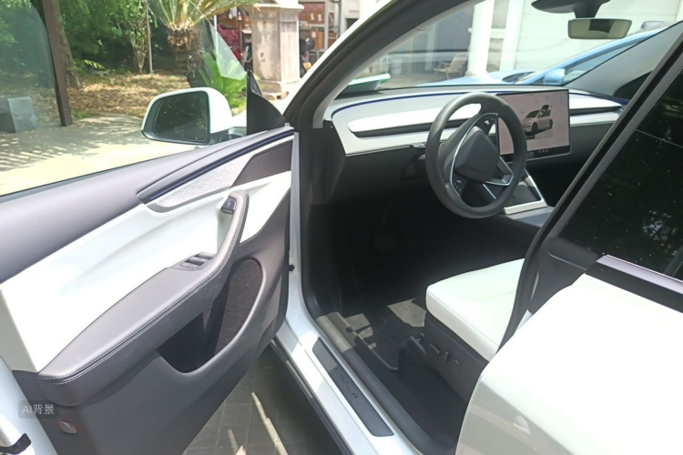 Tesla Model Y 2025 car image #18