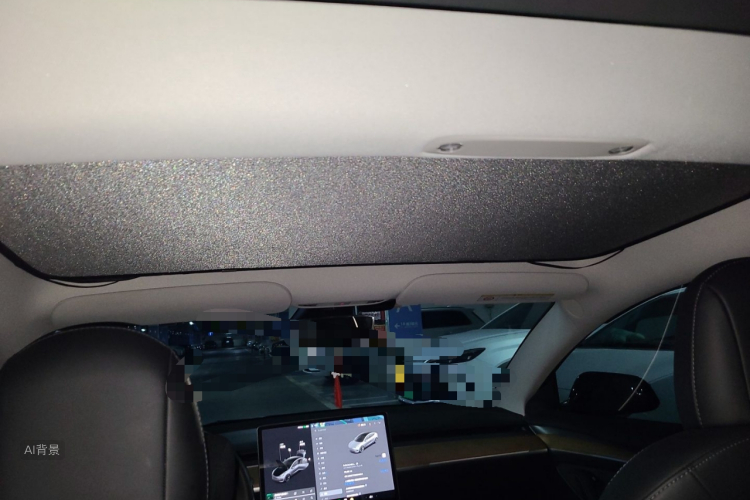 Tesla Model 3 2021 car image #20