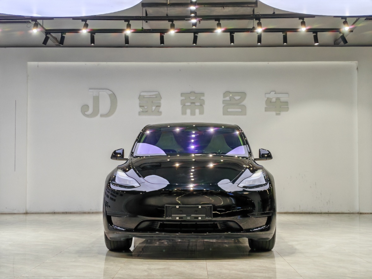 Tesla Model Y 2024 car image #2