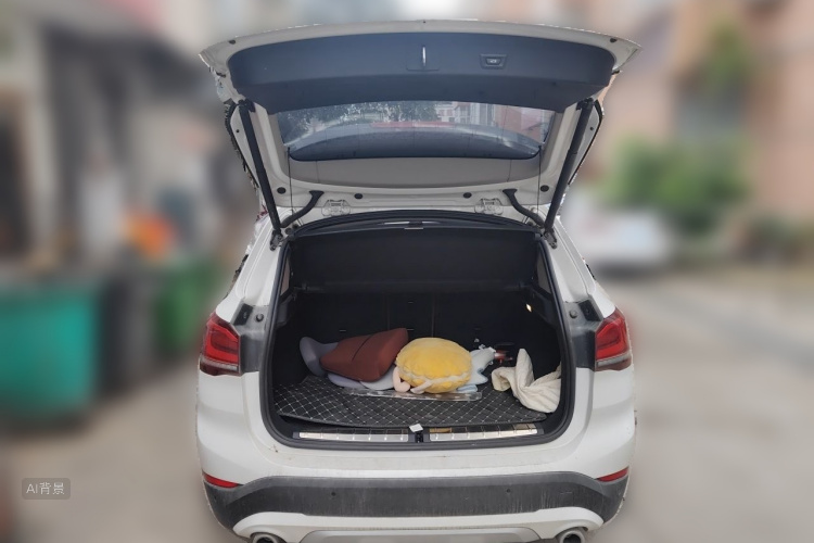 BMW X1 2020 car image #21