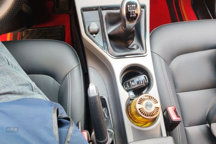 GEELY Emgrand GS 2017 immagine di auto #16