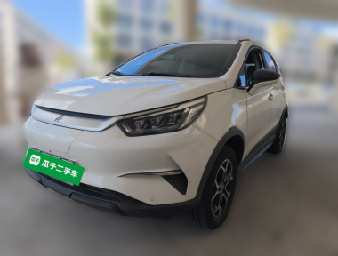 BYD Yuan Pro 2021 BYD Yuan Pro 2021 صورة سيارة