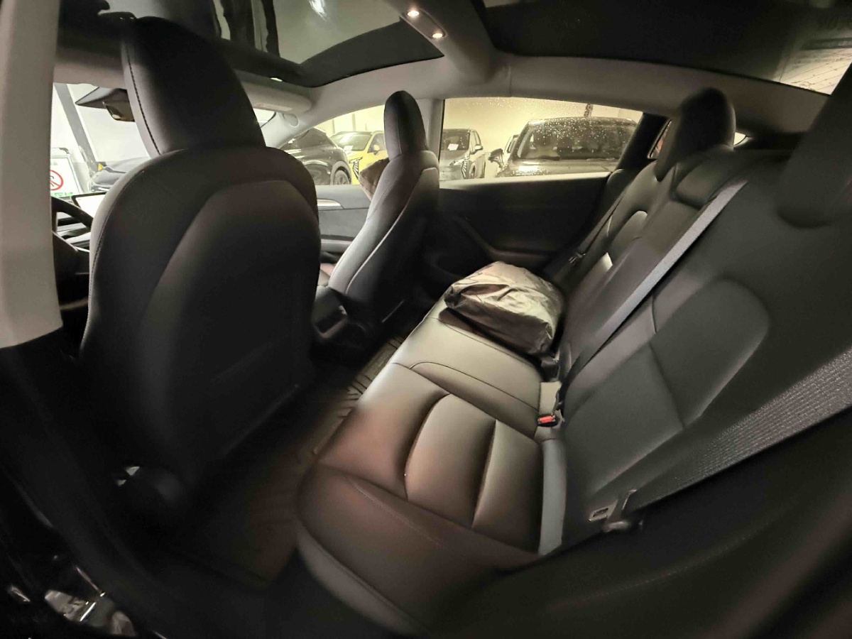 Tesla Model 3 2022 car image #4