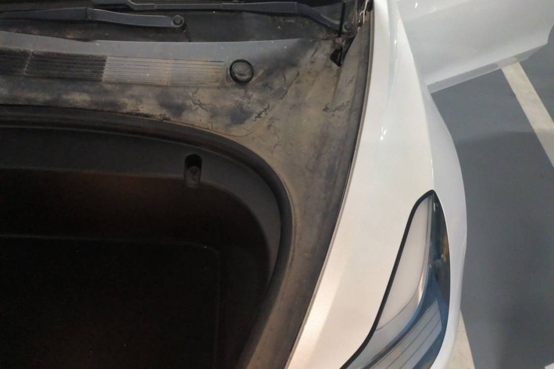 Tesla Model 3 2020 #12 Tesla Model 3 2020 car image #12