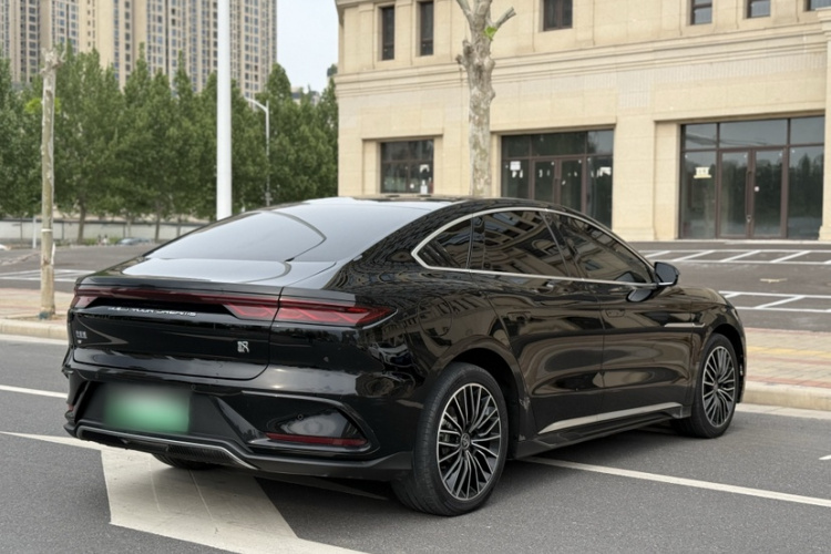 比亚迪 汉 2023 汽车图片 #8