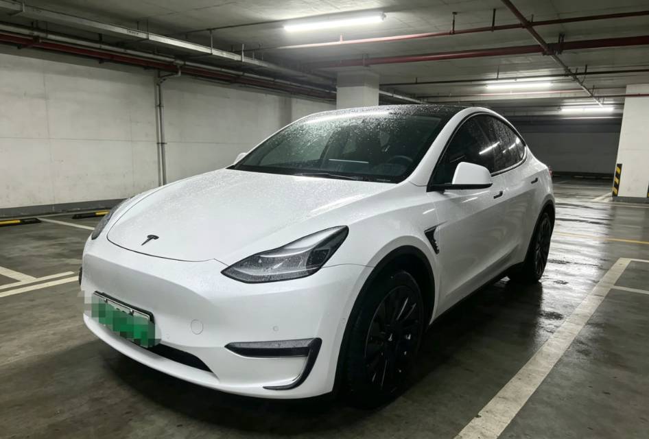 Tesla Model Y 2021 Tesla Model Y 2021 car image