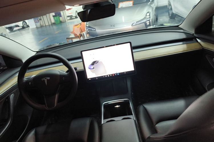 Tesla Model 3 2021 car image #10