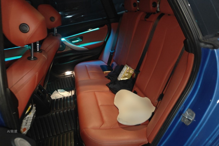 BMW 3 Series GT 2019 car image #19