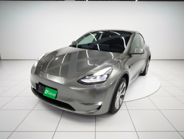 Tesla Model Y 2022 Tesla Model Y 2022 car image