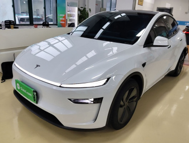 Tesla Model Y 2025 Tesla Model Y 2025 car image