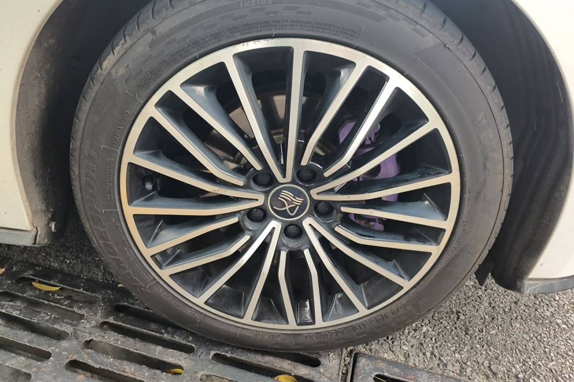 BYD Han 2021 #9 BYD Han 2021 imagen de coche #9