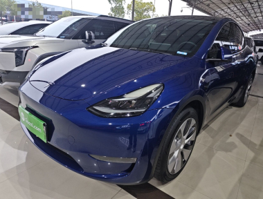 Tesla Model Y 2022 Tesla Model Y 2022 صورة سيارة