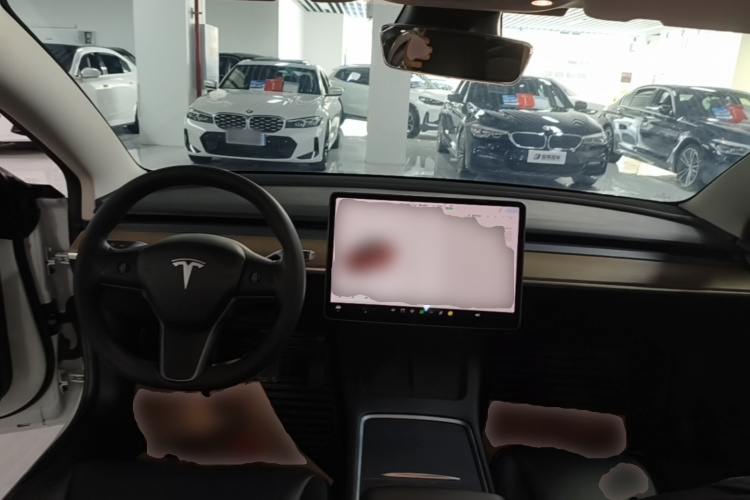 Tesla Model 3 2021 immagine di auto #10