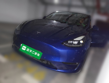 Tesla Model Y 2021 Tesla Model Y 2021 car image