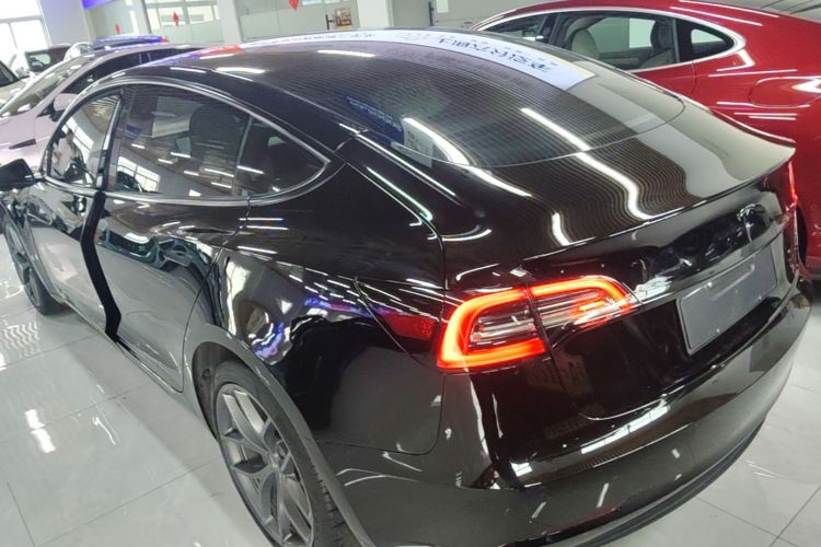 Tesla Model 3 2023 #5 Tesla Model 3 2023 car image #5