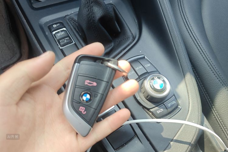 BMW X1 2017 imagem de carro #10