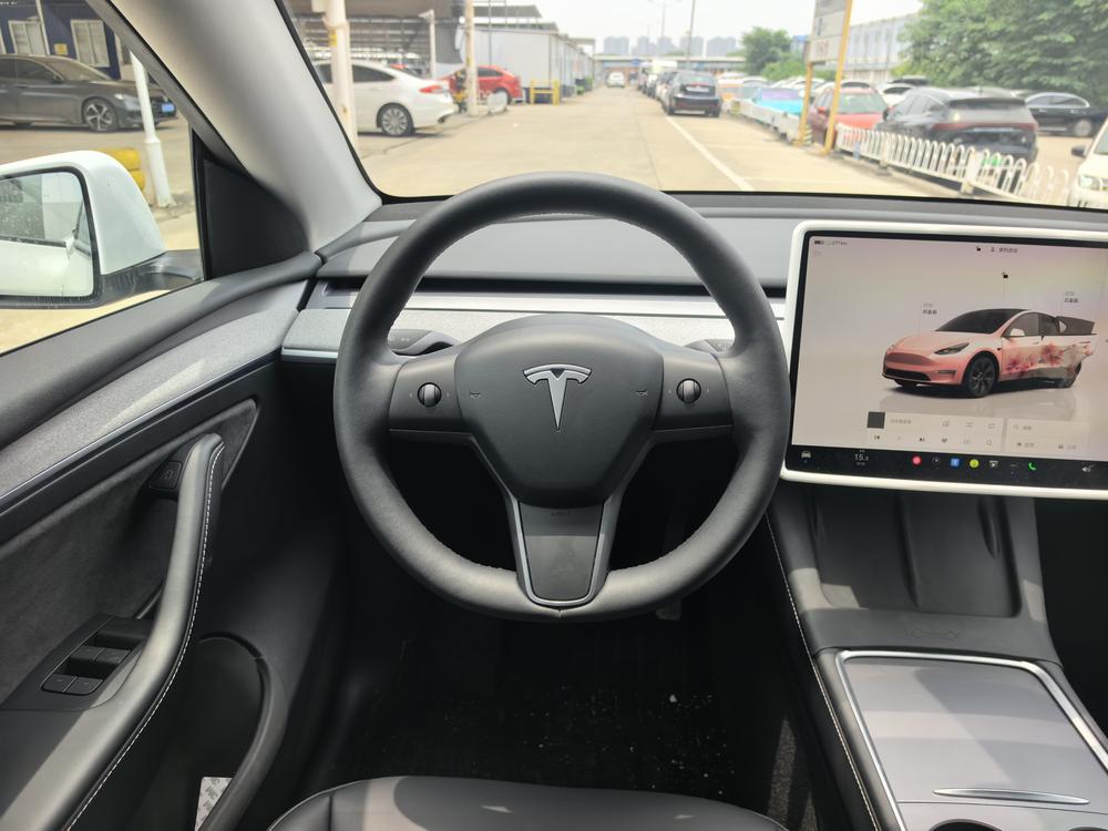 Tesla Model Y 2024 car image #12