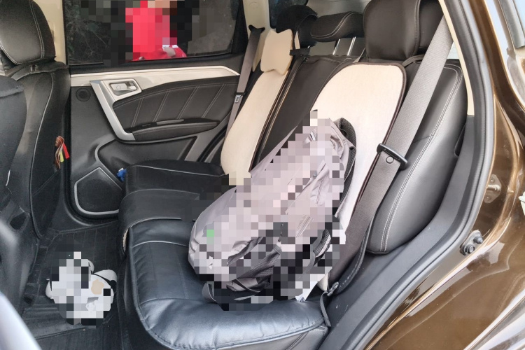 GEELY Vision X6 2017 #10 GEELY Vision X6 2017 imagen de coche #10