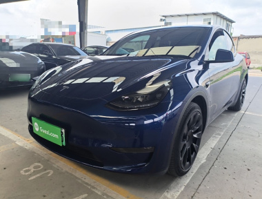 Tesla Model Y 2021 car image 