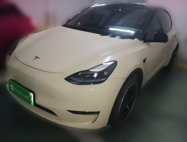Tesla Model Y 2021 car image 