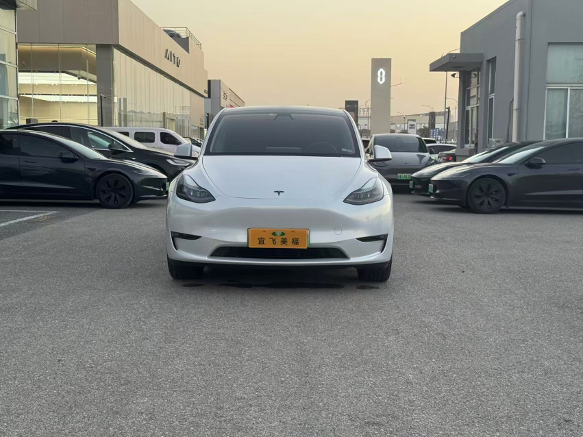 Tesla Model Y 2021 #2 Tesla Model Y 2021 car image #2