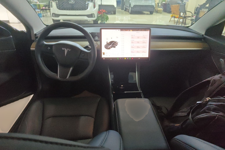 Tesla Model 3 2020 car image #10