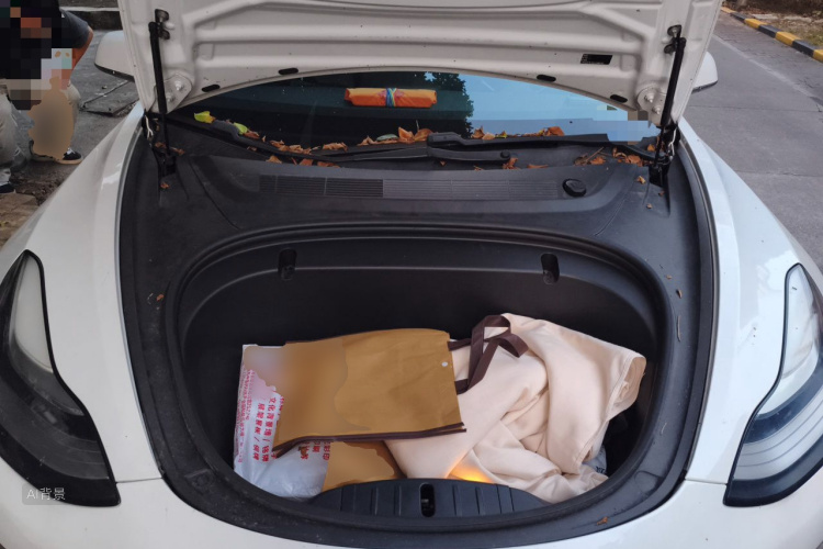 Tesla Model 3 2020 car image #22