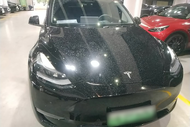 Tesla Model Y 2021 #3 Tesla Model Y 2021 car image #3